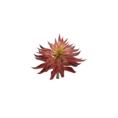 Single Stem Red Succulents - GR2122