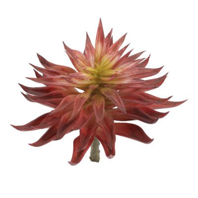 Single Stem Red Succulents - GR2122