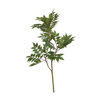 Ailanthus Branch - GR2218