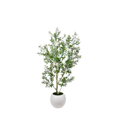 Olive Tree in Porter Planter 6.5' - 324801