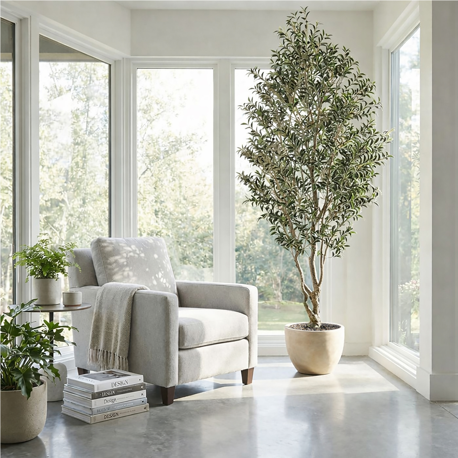 Olive Tree in Grove Planter 9' - 325900 - Image 2