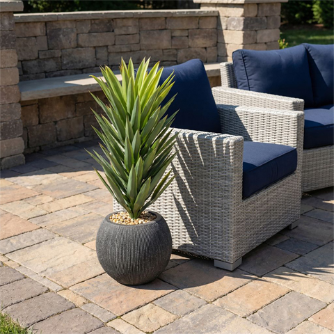 Sisalana Agave in Black Orbis Planter - 1028-3141 - Image 2