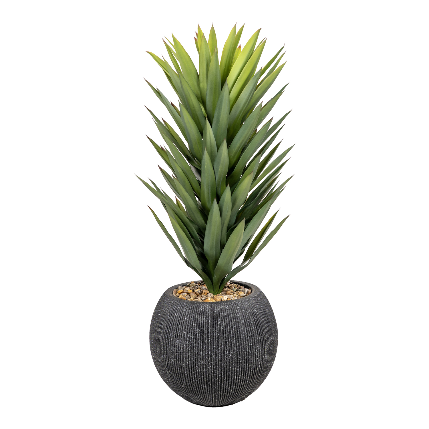 Sisalana Agave in Black Orbis Planter - 1028-3141