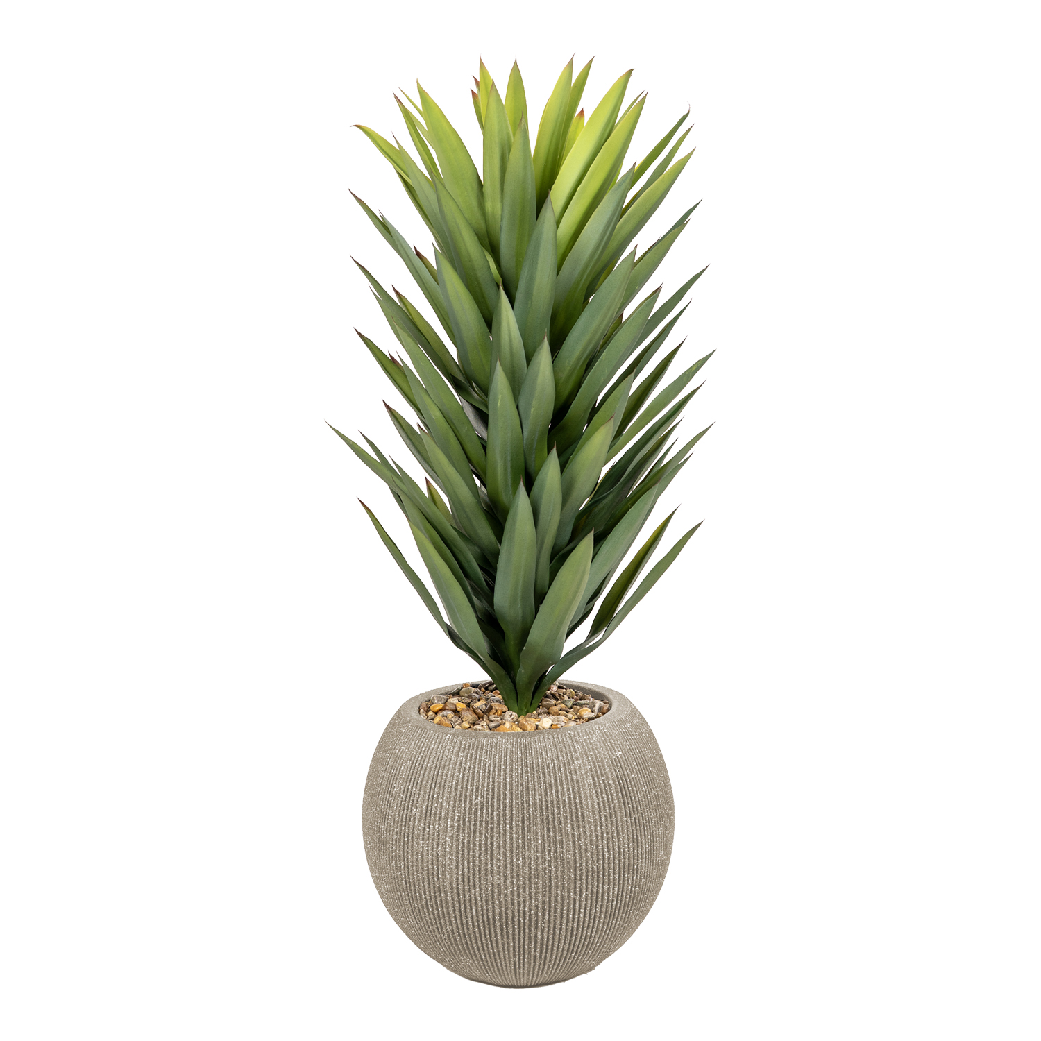 Sisalana Agave in Cement Finish Orbis - 1028-3143