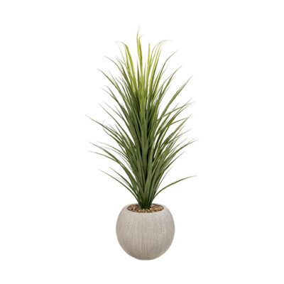 Panicum Grass in Cement Finish Orbis Planter - 1042-3143