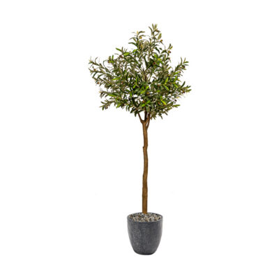 Olive Tree in Sawyer Planter - 1057-2823