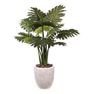 Philodendron in Hudson Planter - 1059-2820