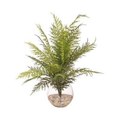 Fern Bundle in Glass Bubble Bowl - 260000