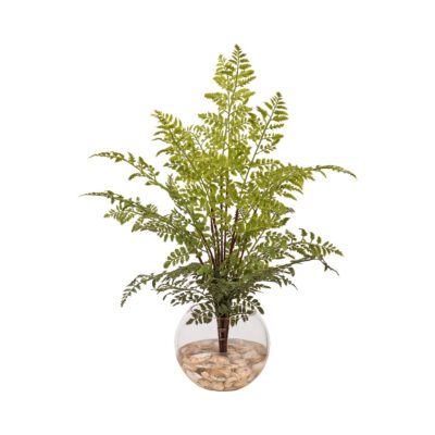 Fern Bundle & Seashells in Glass Bubble - 260002