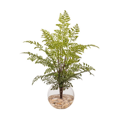 Fern Bundle & Seashells in Glass Bubble - 260002