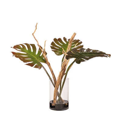 Monstera Leaf in Glass Cylinder - 260003
