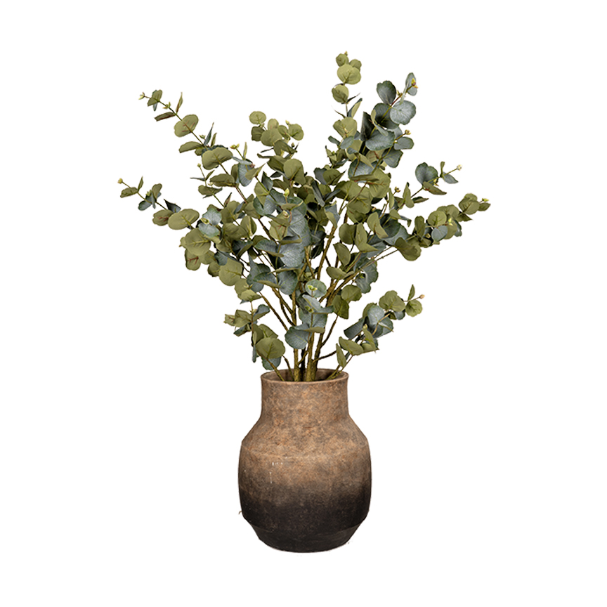 Eucalyptus Spray in Desert Bloom Planter - 260006