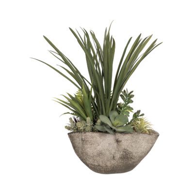 Lily Grass and Assorted Succulents in Large Luna Bowl - 260010