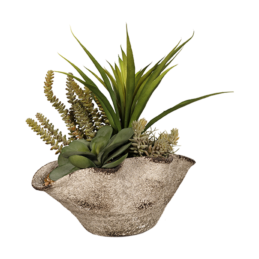 Assorted Greenery & Succulents in Small Luna Bowl - 260011
