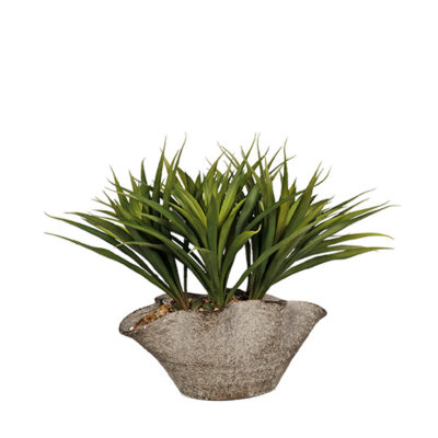 Lily Grass in Small Luna Bowl - 260012