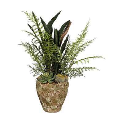 Assorted Greenery, Succulents & Dragonwood in Ancient Grove Pot - 260013