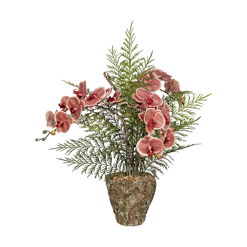 Red Phael Orchids, Ferns & Dragonwood in Large Ancient Grove Pot - 260014