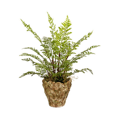 Fern in Large Ancient Grove Pot - 260015