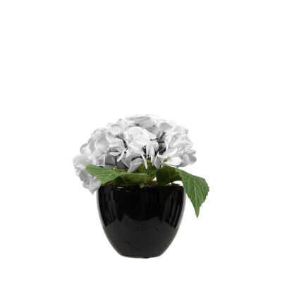 White Hydrangeas in Taylor Planter - 290029