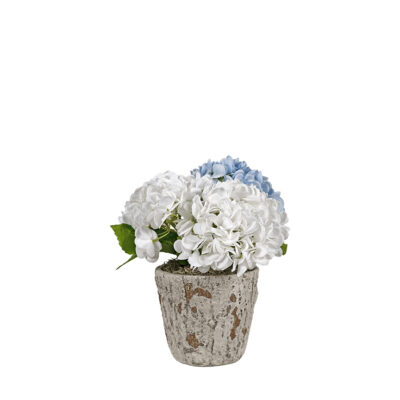 Blue & White Hydrangeas in Large Genevieve Planter - 260041