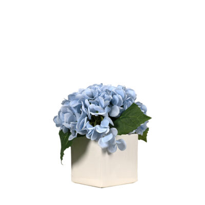 Blue Hydrangeas in Square Simple Vase - 260058