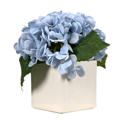 Real Touch Hydrangeas in Square Simple Vase