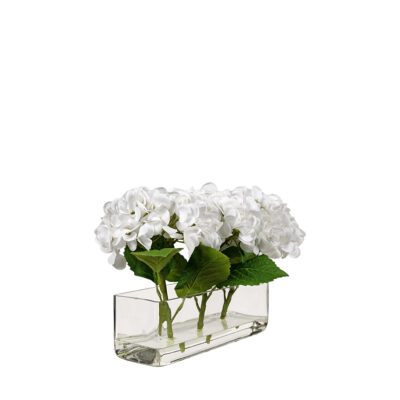 White Hydrangeas in Aquaria Vase - 260062