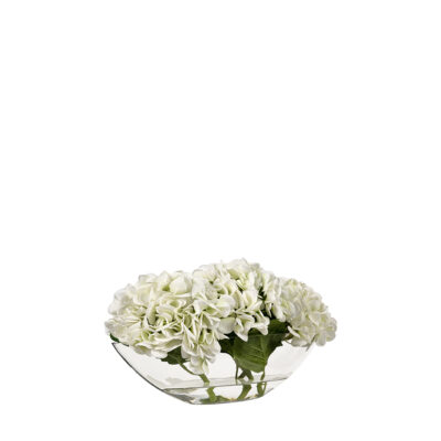 Pale Green Hydrangeas in Wedge Vase - 260079