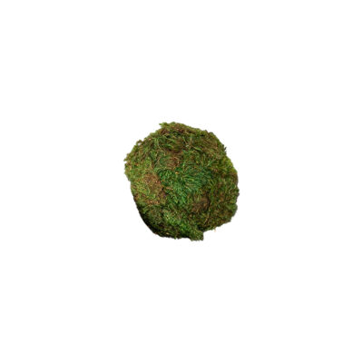 Half Mood Moss Hanging Sphere - 260088