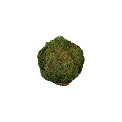 Hanging Half Mood Moss Sphere - 260090