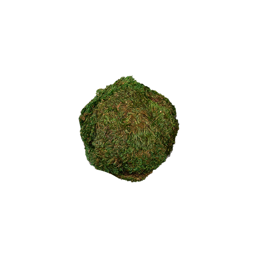 Hanging Half Mood Moss Sphere - 260090