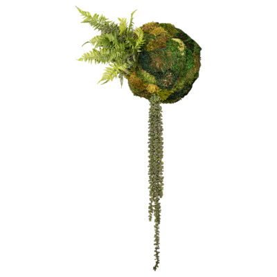 Hanging Half Mood Moss Sphere with Leather Fern & String of Pearls - 260095
