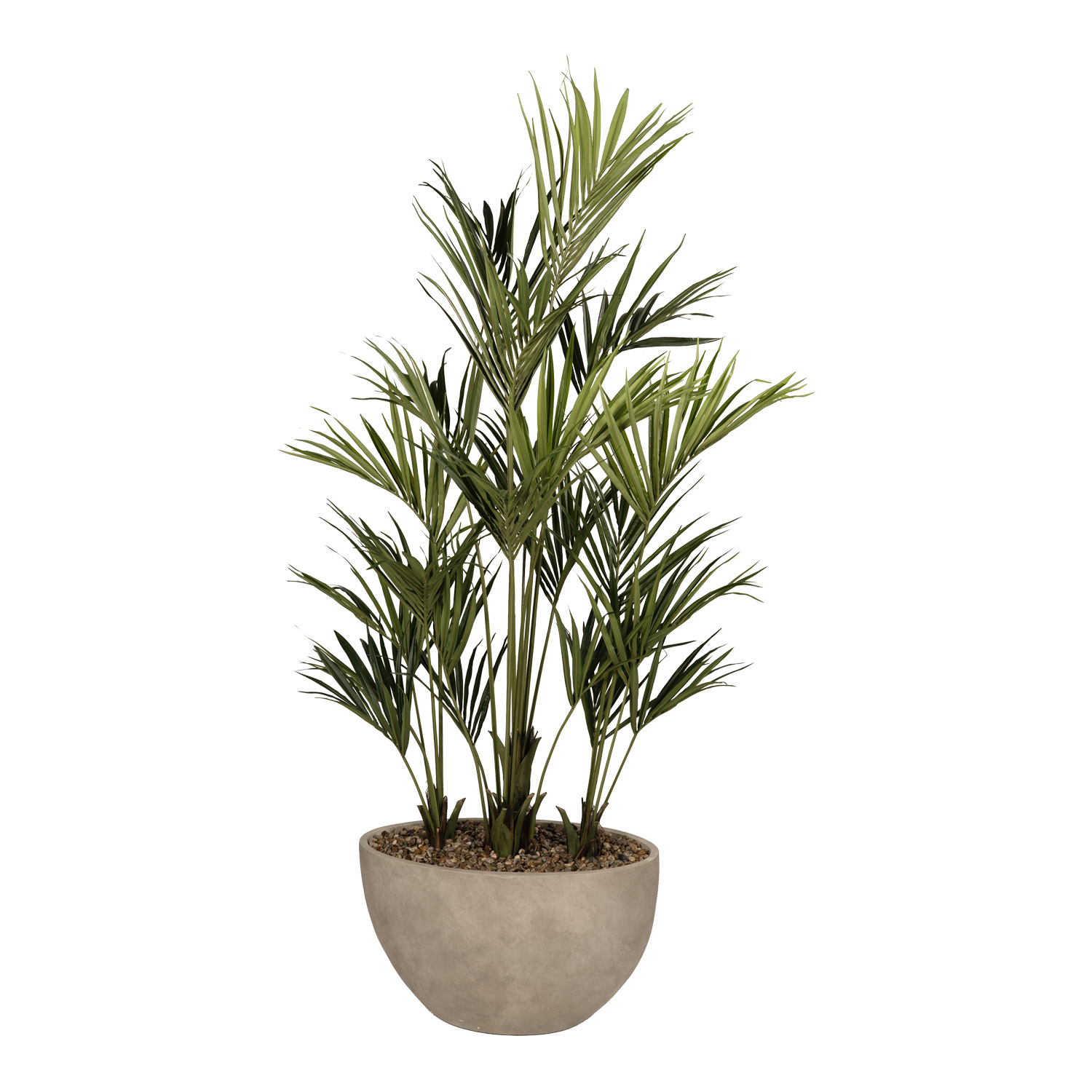 Kentia Palm in Taupe Eclipse Planter 8.5' - 325902