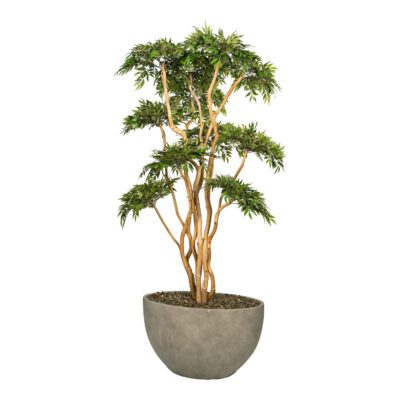 Ruscus with Sandblasted Dragonwood in Taupe Eclipse Planter - 325906