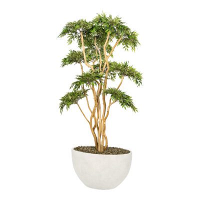 Ruscus with Sandblasted Dragonwood in White Eclipse Planter - 325907