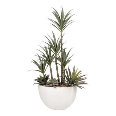 Yucca & Agave in White Eclipse Planter - 325908