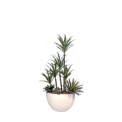 Yucca & Agave in White Eclipse Planter - 325908