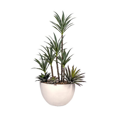 Yucca & Agave in White Eclipse Planter - 325908