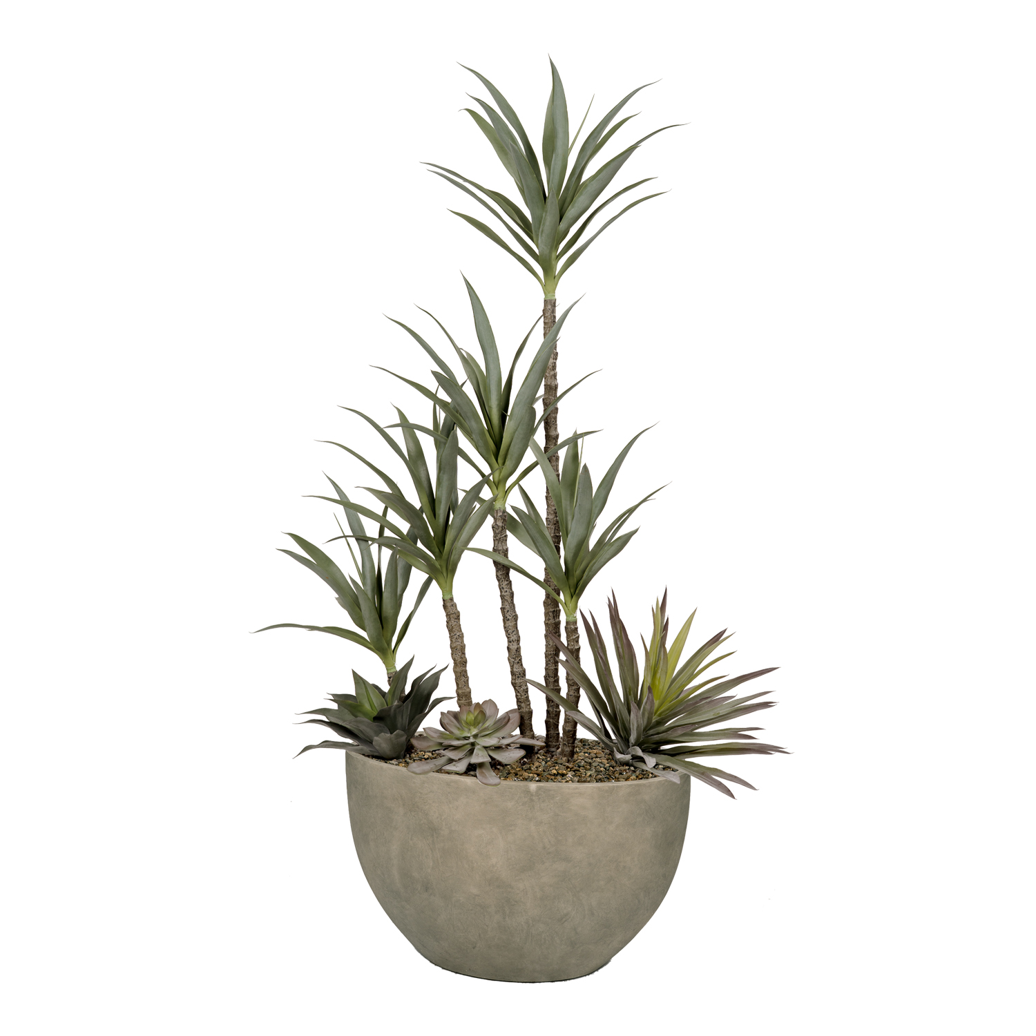 Yucca & Agave in Taupe Eclipse Planter - 325909
