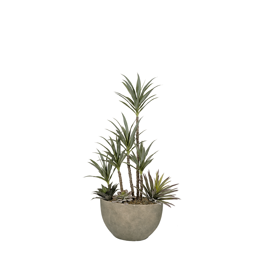 Yucca & Agave in Taupe Eclipse Planter - 325909