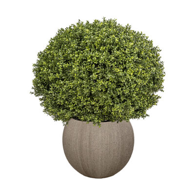 Boxwood Ball in Cement Finish Orbis Planter - 701-3144