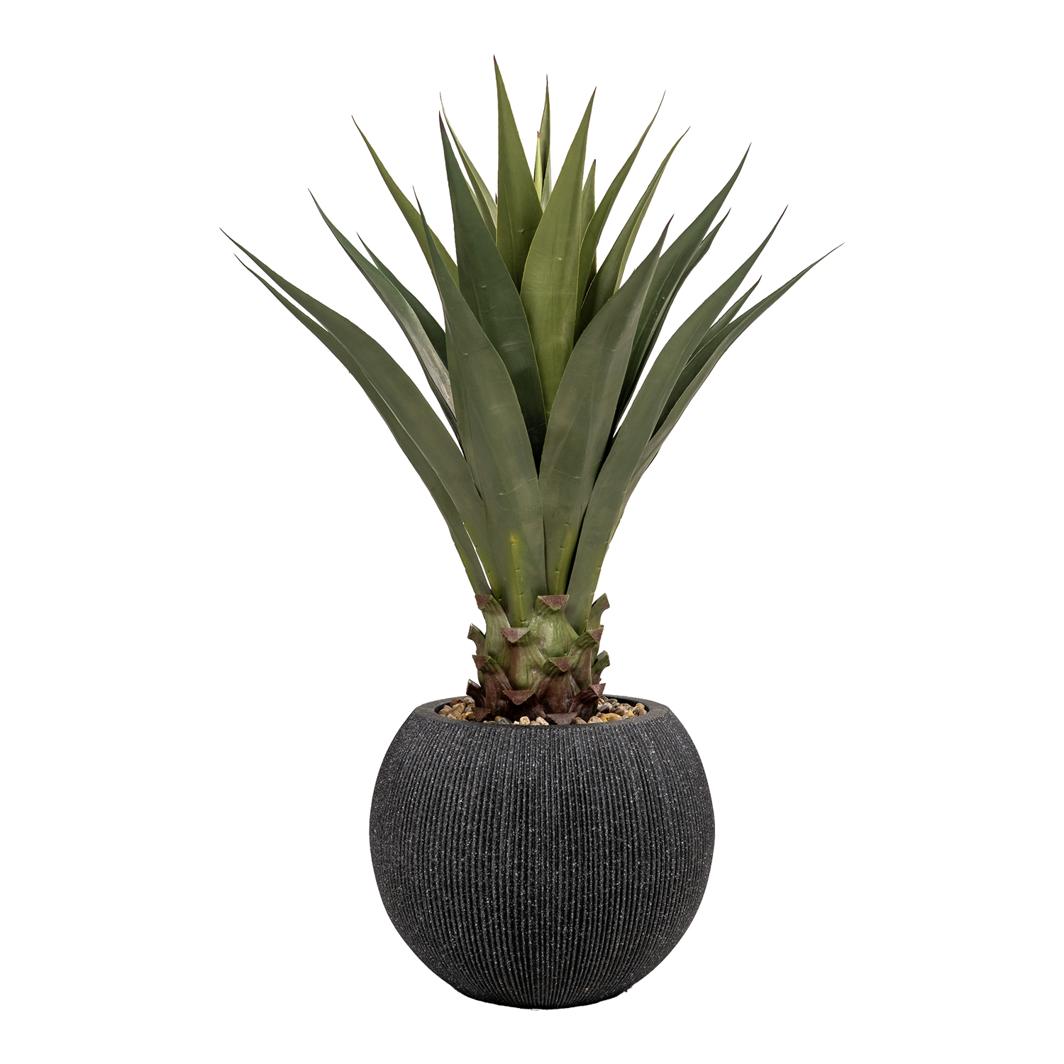 Jumbo Agave in Black Orbis Planter - 939-3141