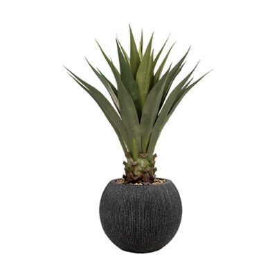 Jumbo Agave in Black Orbis Planter - 939-3141