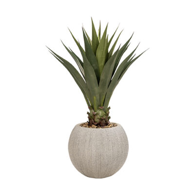 Jumbo Agave in Cement Finish Orbis Planter - 939-3143