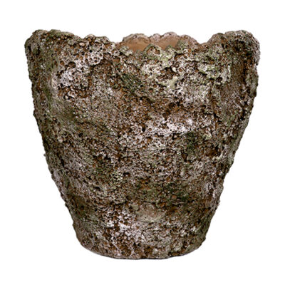 Ancient Grove Pot