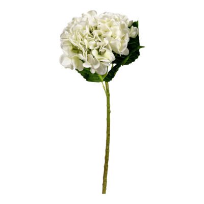 Pale Green Real Touch Hydrangea - FL2592