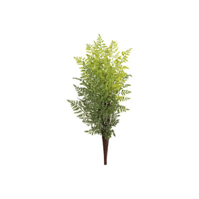 Silk Oak Fern Bundle - GR2223