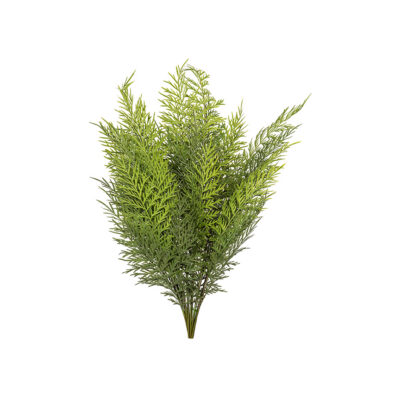 Deer Fern Bundle - GR2224