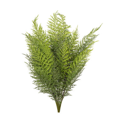 Deer Fern Bundle - GR2224