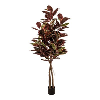 Rubber Tree 6.5' - TL1056